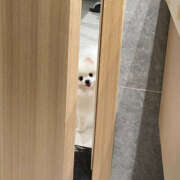 ヒメ日記 2025/12/19 00:12 投稿 れみ 女の子がセルフで撮影する店！！成田デリヘル『生パネル』伝説