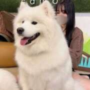 ヒメ日記 2025/12/19 12:12 投稿 かりん 女の子がセルフで撮影する店！！成田デリヘル『生パネル』伝説