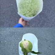 ヒメ日記 2026/02/13 09:11 投稿 なの スピード難波店