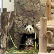 ヒメ日記 2026/02/23 11:21 投稿 なの スピード難波店