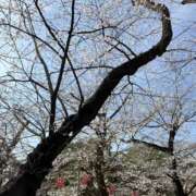 ヒメ日記 2026/03/29 19:21 投稿 なの スピード難波店