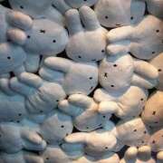 ヒメ日記 2026/04/23 22:41 投稿 なの スピード難波店