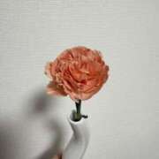 なの なの（スピード難波店） スピード難波店