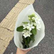 ヒメ日記 2026/05/31 17:41 投稿 なの スピード難波店