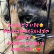 ヒメ日記 2025/12/19 09:10 投稿 守山とうな 五十路マダムエクスプレス船橋店(カサブランカグループ)