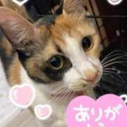 守山とうな ありがとう??? 五十路マダムエクスプレス船橋店(カサブランカグループ)