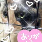 守山とうな ありがとう??? 五十路マダムエクスプレス船橋店(カサブランカグループ)