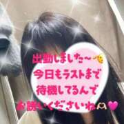 ヒメ日記 2025/12/22 11:44 投稿 守山とうな 五十路マダムエクスプレス船橋店(カサブランカグループ)