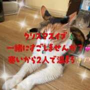 ヒメ日記 2025/12/24 11:38 投稿 守山とうな 五十路マダムエクスプレス船橋店(カサブランカグループ)