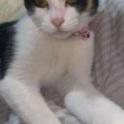 ヒメ日記 2025/12/24 17:38 投稿 守山とうな 五十路マダムエクスプレス船橋店(カサブランカグループ)