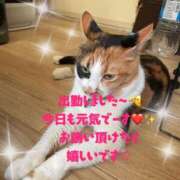 ヒメ日記 2026/01/03 09:40 投稿 守山とうな 五十路マダムエクスプレス船橋店(カサブランカグループ)