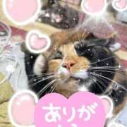 ヒメ日記 2026/01/20 23:28 投稿 守山とうな 五十路マダムエクスプレス船橋店(カサブランカグループ)