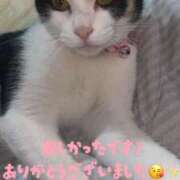 ヒメ日記 2026/02/22 15:54 投稿 守山とうな 五十路マダムエクスプレス船橋店(カサブランカグループ)