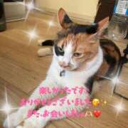 ヒメ日記 2026/02/23 01:30 投稿 守山とうな 五十路マダムエクスプレス船橋店(カサブランカグループ)