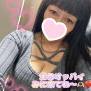 ヒメ日記 2026/02/25 14:44 投稿 守山とうな 五十路マダムエクスプレス船橋店(カサブランカグループ)