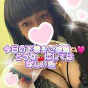 ヒメ日記 2026/02/28 17:58 投稿 守山とうな 五十路マダムエクスプレス船橋店(カサブランカグループ)