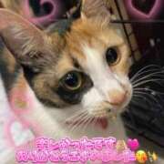 ヒメ日記 2026/03/01 02:10 投稿 守山とうな 五十路マダムエクスプレス船橋店(カサブランカグループ)