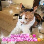 ヒメ日記 2026/03/07 03:34 投稿 守山とうな 五十路マダムエクスプレス船橋店(カサブランカグループ)