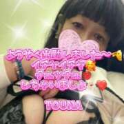 ヒメ日記 2026/03/24 19:16 投稿 守山とうな 五十路マダムエクスプレス船橋店(カサブランカグループ)