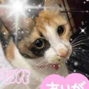 ヒメ日記 2026/03/25 08:52 投稿 守山とうな 五十路マダムエクスプレス船橋店(カサブランカグループ)