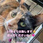 ヒメ日記 2026/04/26 16:18 投稿 守山とうな 五十路マダムエクスプレス船橋店(カサブランカグループ)