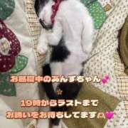ヒメ日記 2026/07/03 12:30 投稿 守山とうな 五十路マダムエクスプレス船橋店(カサブランカグループ)