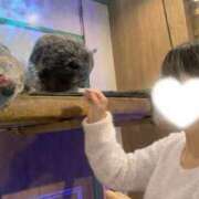 ヒメ日記 2025/12/21 12:22 投稿 久遠　みこと プルプル京都性感エステ　はんなり