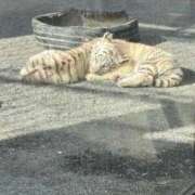 ヒメ日記 2026/02/28 19:35 投稿 まなつ 大宮ウィング