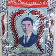 ヒメ日記 2026/01/30 16:00 投稿 内田れい 渋谷エオス