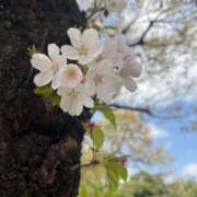 ヒメ日記 2026/03/27 15:10 投稿 内田れい 渋谷エオス