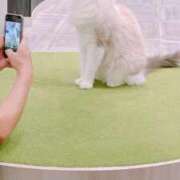 ヒメ日記 2025/12/29 15:58 投稿 小野 西川口デッドボール