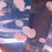 小野 あした 西川口デッドボール