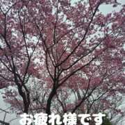 ヒメ日記 2026/03/06 23:18 投稿 高塚(こうつか) 熟女出逢い会『百合の園』目黒店