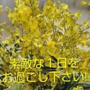 ヒメ日記 2026/03/21 09:08 投稿 高塚(こうつか) 熟女出逢い会『百合の園』目黒店