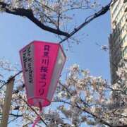 ヒメ日記 2026/03/30 06:58 投稿 高塚(こうつか) 熟女出逢い会『百合の園』目黒店