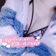 ヒメ日記 2026/01/24 18:25 投稿 みみ LEVEL1