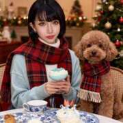 ヒメ日記 2025/12/27 00:34 投稿 KIYOHA GINGIRA☆TOKYO～ギンギラ東京～