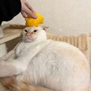 ヒメ日記 2026/01/02 02:08 投稿 KIYOHA GINGIRA☆TOKYO～ギンギラ東京～