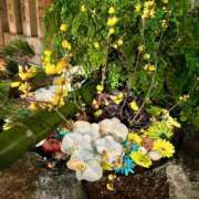 ヒメ日記 2026/01/02 09:20 投稿 KIYOHA GINGIRA☆TOKYO～ギンギラ東京～