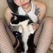 ヒメ日記 2026/01/12 03:18 投稿 KIYOHA GINGIRA☆TOKYO～ギンギラ東京～