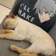 ヒメ日記 2026/04/26 18:24 投稿 KIYOHA GINGIRA☆TOKYO～ギンギラ東京～