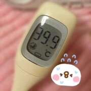 ヒメ日記 2026/01/23 12:01 投稿 水白　みるく メイドin西川口（埼玉ハレ系）