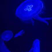 みるく みるく（エコ難波店） スピードエコ難波店