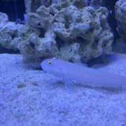 みるく みるく（エコ難波店） スピードエコ難波店