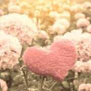 ヒメ日記 2026/01/25 19:14 投稿 雪菜 素人妻達☆マイふぇらレディー