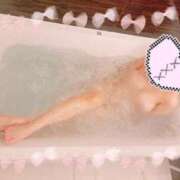 ヒメ日記 2026/01/22 14:02 投稿 せりな ホワイトベル