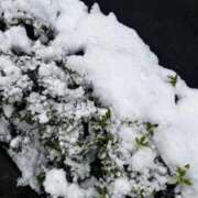 ヒメ日記 2026/02/10 14:52 投稿 雪音 じゅり LUXE(リュクス)