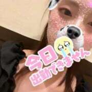 ヒメ日記 2026/01/21 19:51 投稿 きらり ぐっすり山田　名古屋店