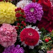 ヒメ日記 2025/12/26 20:36 投稿 佐倉しおり 五十路マダムエクスプレス横浜店（カサブランカグループ）