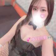 ヒメ日記 2026/02/03 10:13 投稿 さくら TOKYO BUNNYS CLUB